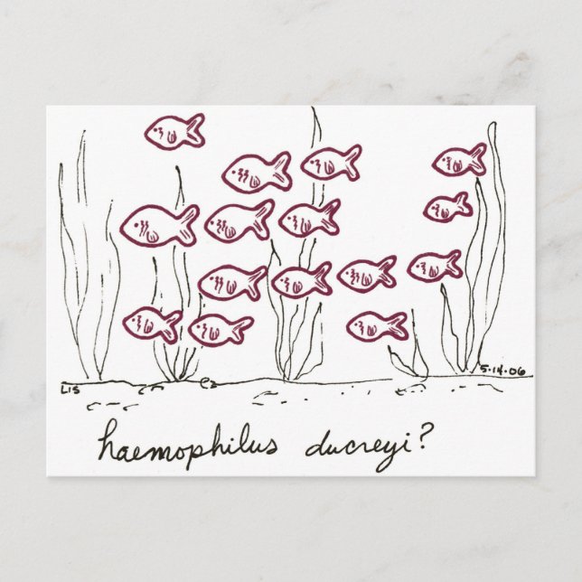 Haemophilus Ducreyi vykort (Framsida)