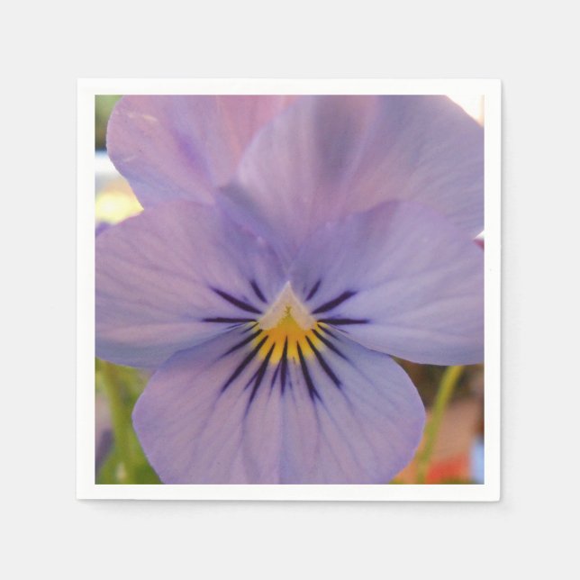 Haetzlern Pappersservett (Framsidan)