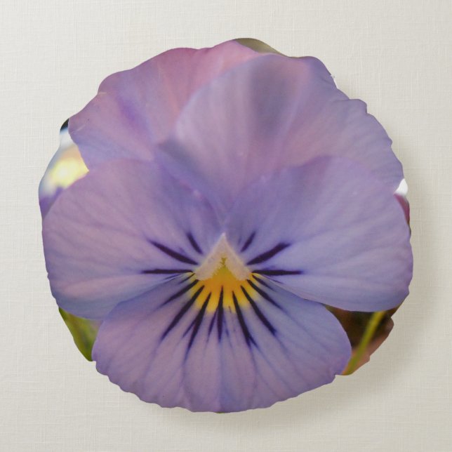 Haetzlern Rund Kudde (Baksidan)