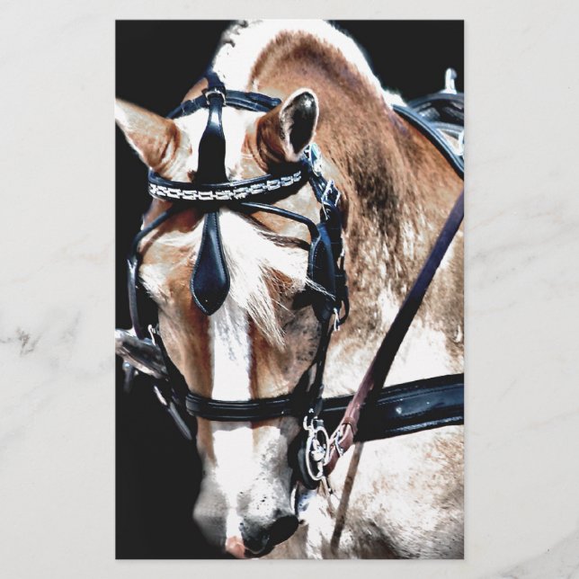 Haflinger (Framsida)