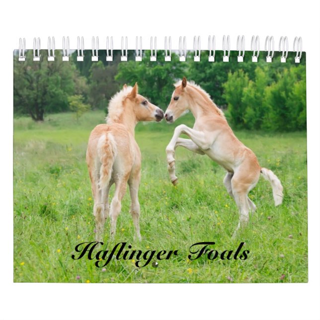 Haflinger Foals - storlekt litet Kalender (Omslag)