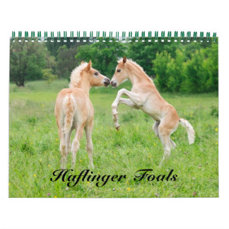 Haflinger Foals - storlekt medium Kalender