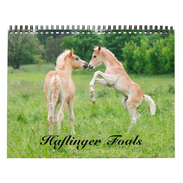 Haflinger Foals - storlekt medium Kalender (Omslag)