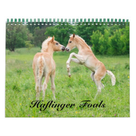 Haflinger Foals - storlekt medium Kalender