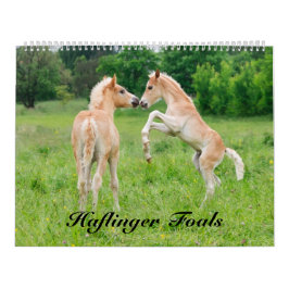 Haflinger föl 2017 storleka stora kalender