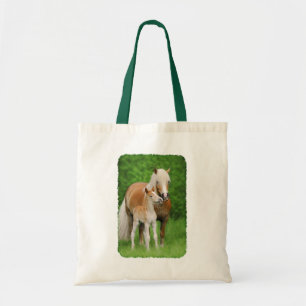 Haflinger Horse Cute Baby Foal Kiss Morsa Pony Pho Tygkasse