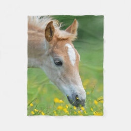 Haflinger Horse Cute Foal Flowers Porträtt - Fleecefilt