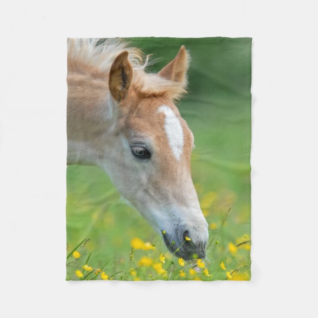 Haflinger Horse Cute Foal Flowers Porträtt - Fleecefilt (Framsidan)