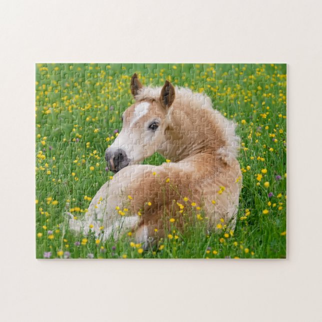 Haflinger Horse Cute Foal Rest in Flowerbed Jigsza Pussel (Horisontell)