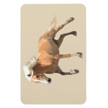 Haflinger Horse Magnet.
