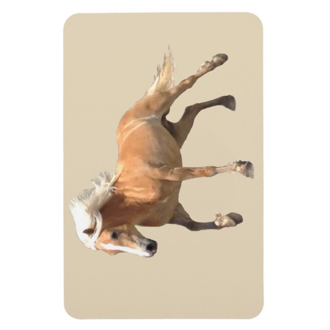 Haflinger Horse Magnet. Magnet (Vertikal)
