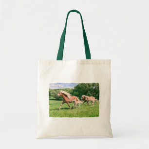 Haflinger Horses Cute Foals Springa Funny Animal P Tygkasse