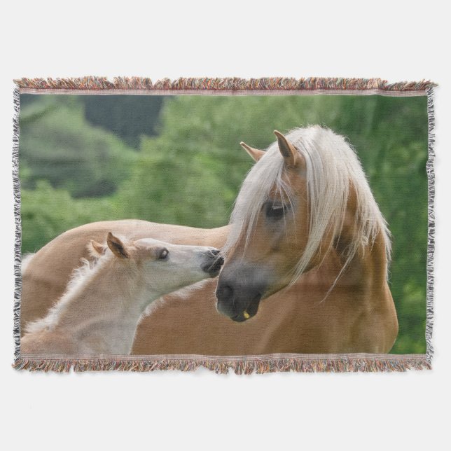 Haflinger Horses Foal Mare Cuddling, Soft Mysfilt (Framsidan)