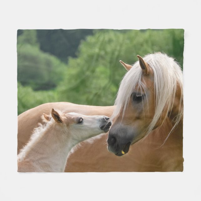 Haflinger Horses Foal och Mare cuddling, tröst Fleecefilt (Framsidan (Horisontell))