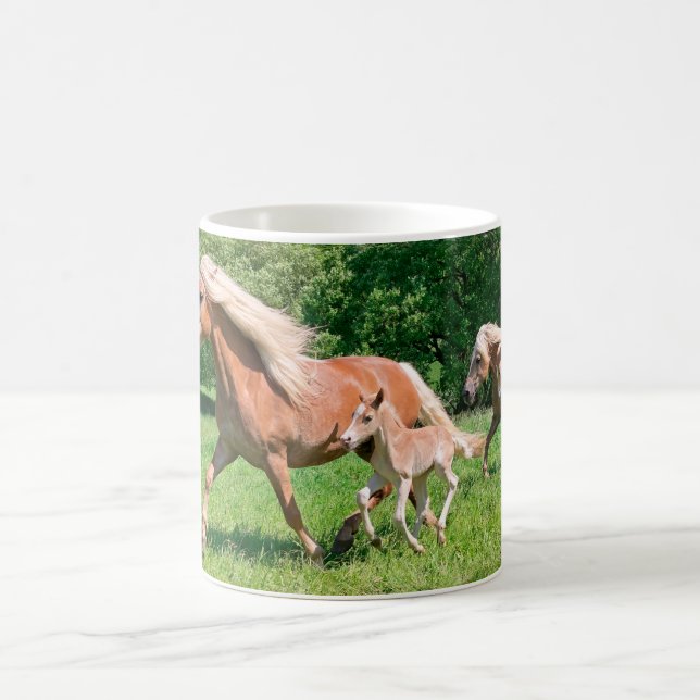 Haflinger Horses med Cute Foals Springa Funny Phot Kaffemugg (Center)