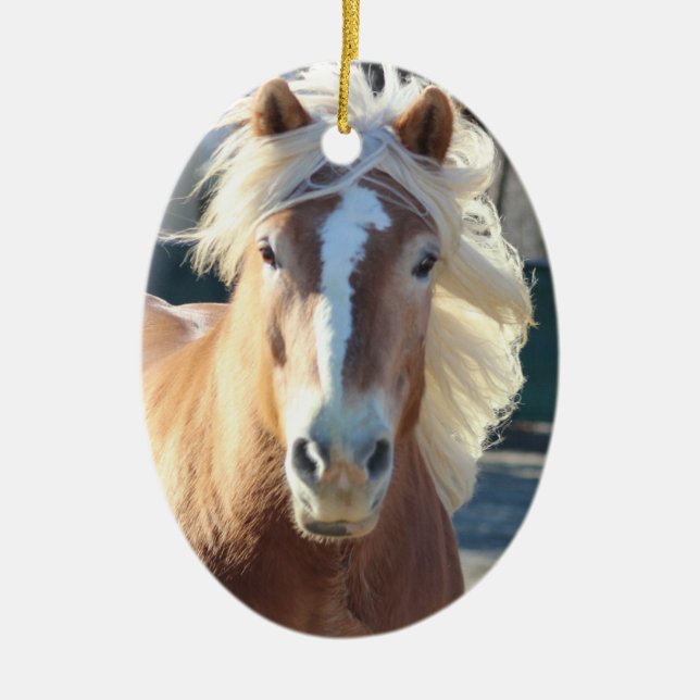 Haflinger julprydnadar julgransprydnad keramik (Framsidan)