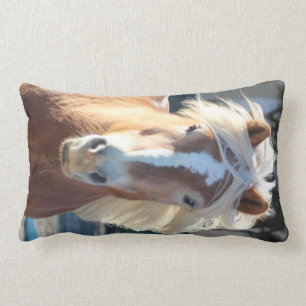 Haflinger Lumbarkudde