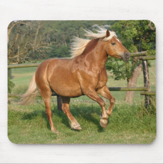 Haflinger mousepad musmatta