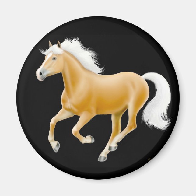 Haflinger Palomino Horse Magnet Black (Framsidan)