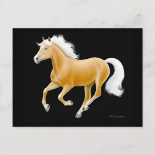 Haflinger Palomino Horse Postcard Vykort