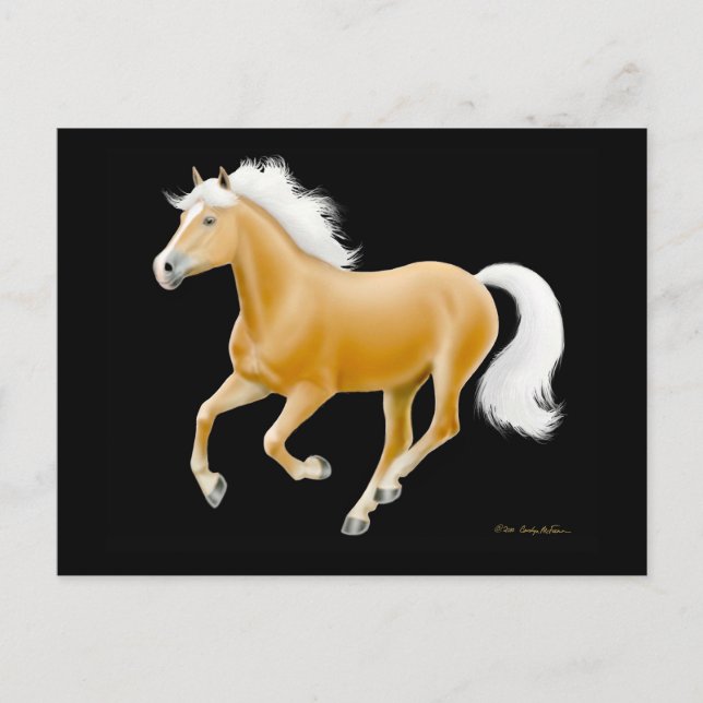 Haflinger Palomino Horse Postcard Vykort (Framsida)