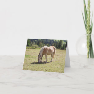 Haflinger Palomino Pony in Summer Pasture Photo Kort