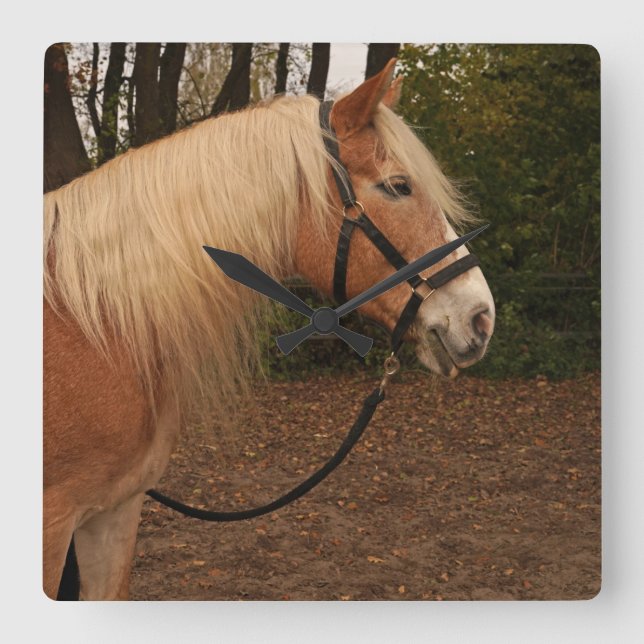 Haflinger Wallach Mifisto - Wanduhr Fyrkantig Klocka (Framsida)