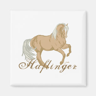 Haflingerhäst Magnet