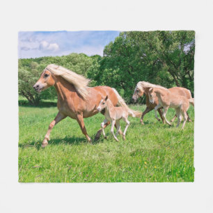 Haflingerhästar med cute Foals från Springa Fleecefilt