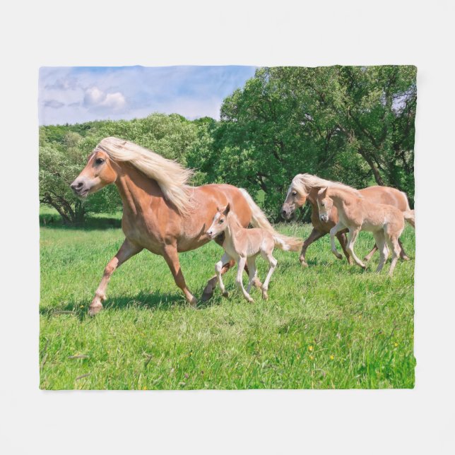 Haflingerhästar med cute Foals från Springa Fleecefilt (Framsidan (Horisontell))