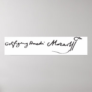 Häfte av musiker Wolfgang Amadeus Mozart Poster