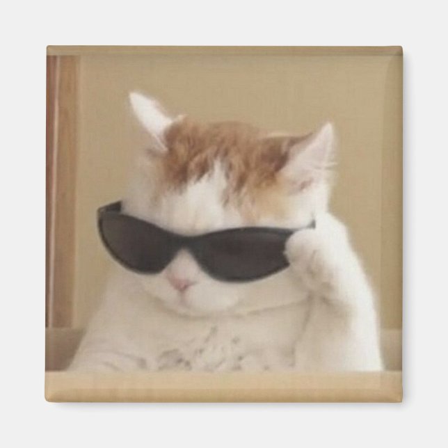 Häftig katt-meme magnet (Framsidan)