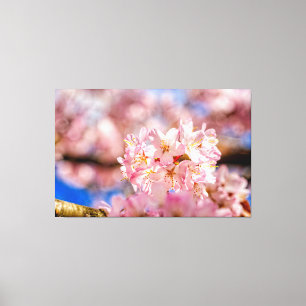 Häftiga och fantastiska rosa Sakura-blommor på vår Canvastryck