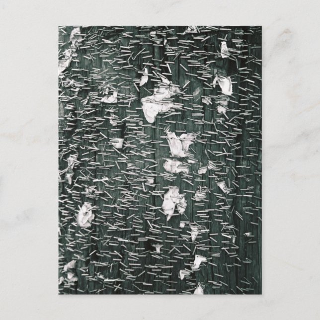 Häftklammer Vykort (Framsida)