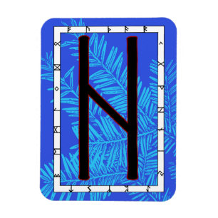 Hagalaz Viking Rune Magnet - Omvandling!