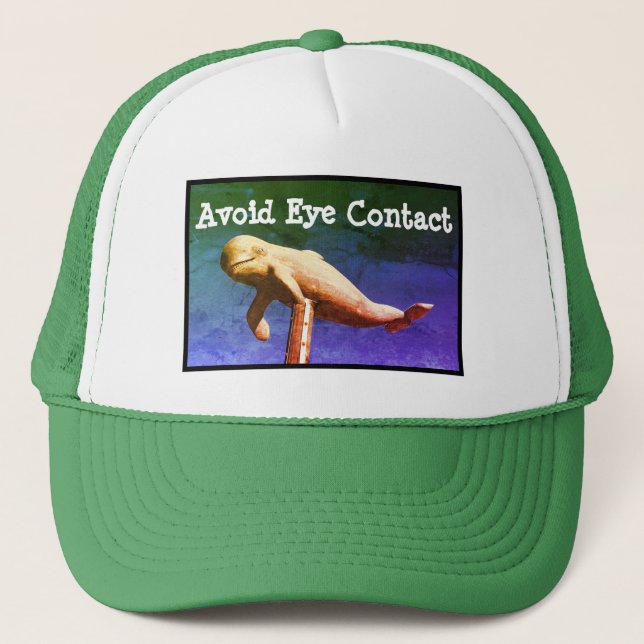 Hagel valanpassningsbarhatten keps (Framsida)