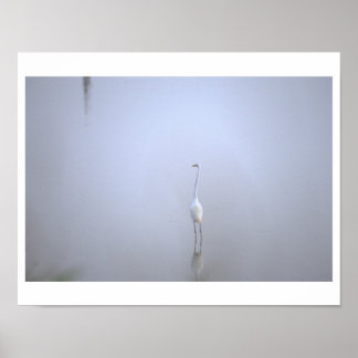 Häger Fototaffel Poster