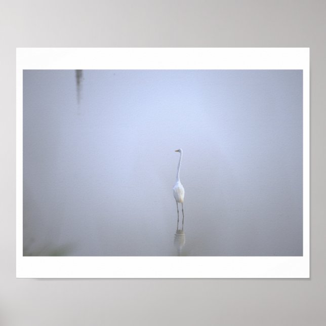 Häger Fototaffel Poster (Framsidan)