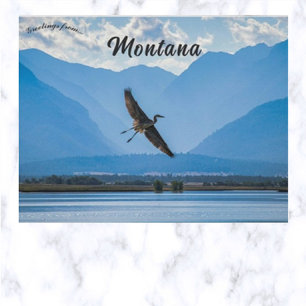 Häger vid Ninepipe Wildlife Refuge i Montana  Vykort