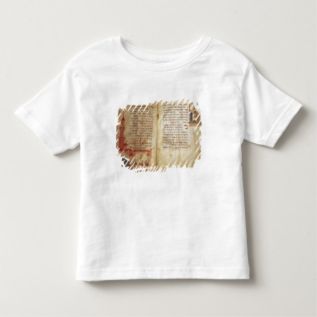 Haggadah för kvällen av påskhögtiden t shirt (Framsida)
