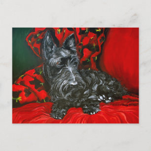 Haggis the Scottish Terrier Vykort