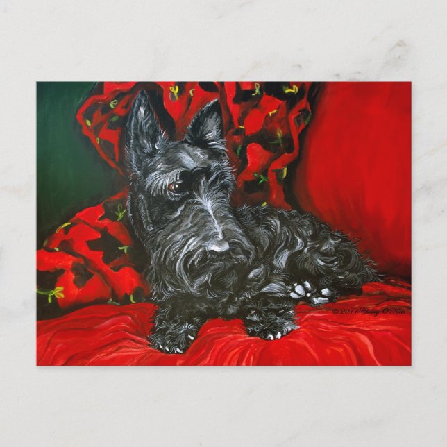 Haggis the Scottish Terrier Vykort (Framsida)