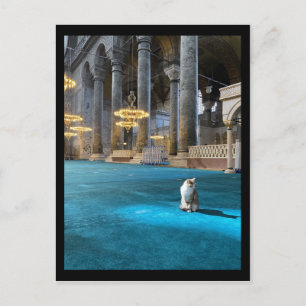 Hagia Sophia Cat Vykort