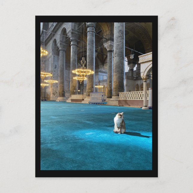 Hagia Sophia Cat Vykort (Framsida)
