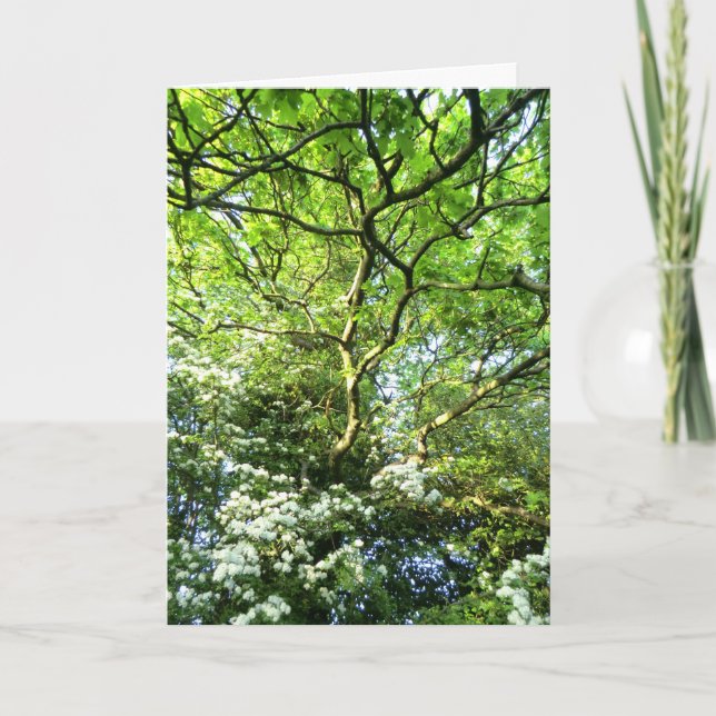 Hagtorn- och OakHandfasting kort (Framsida)