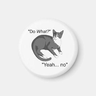 hah magnet