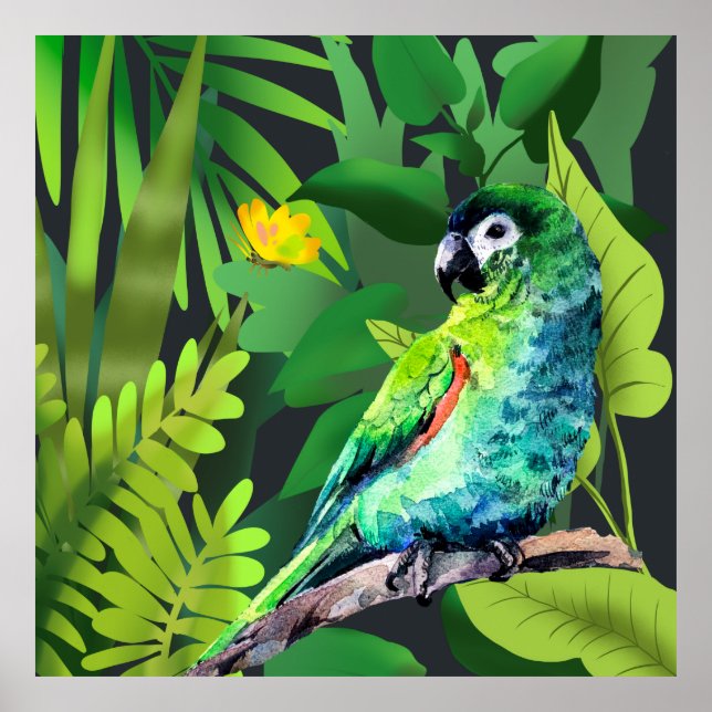 Hahn's Macaw i en djungel Poster (Framsidan)