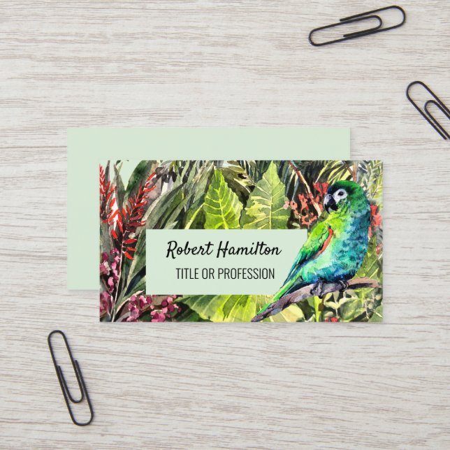 Hahn's Macaw parrot vattenfärgsmålning Visitkort (Fram/Back In Situ)