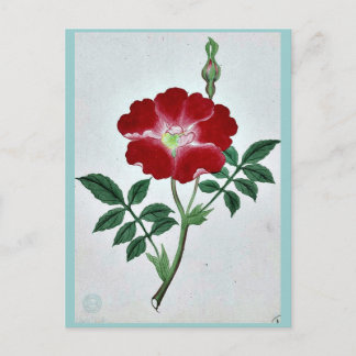 Hai kai kuwa - Mars-April Ukiyo-e. Vykort