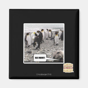 HAI-MAMMA!!! MAGNET
